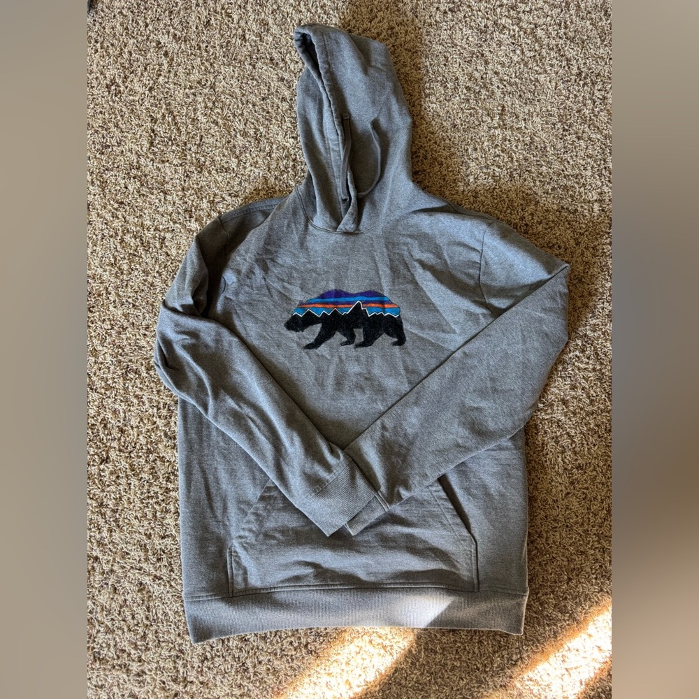 Men’s Patagonia Hoodie